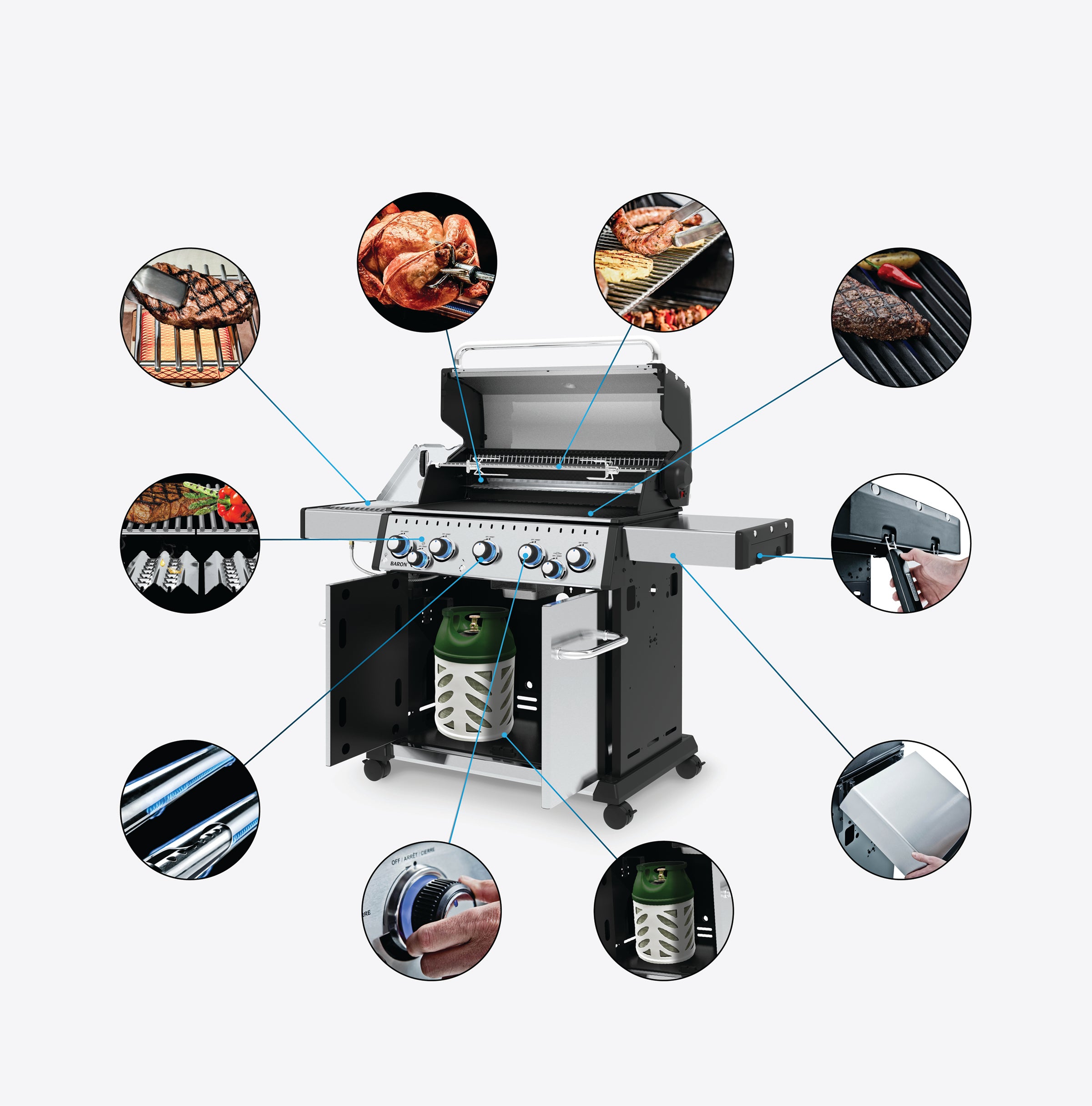 Grill Anatomy Image