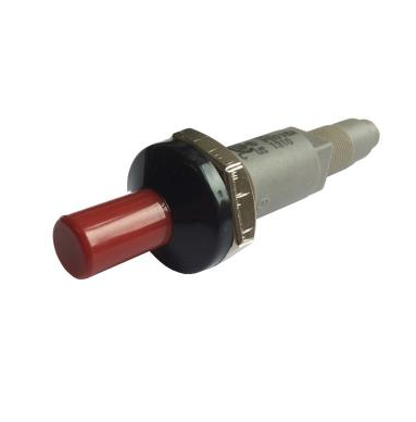 IGNITOR W/PALNUT DUAL
