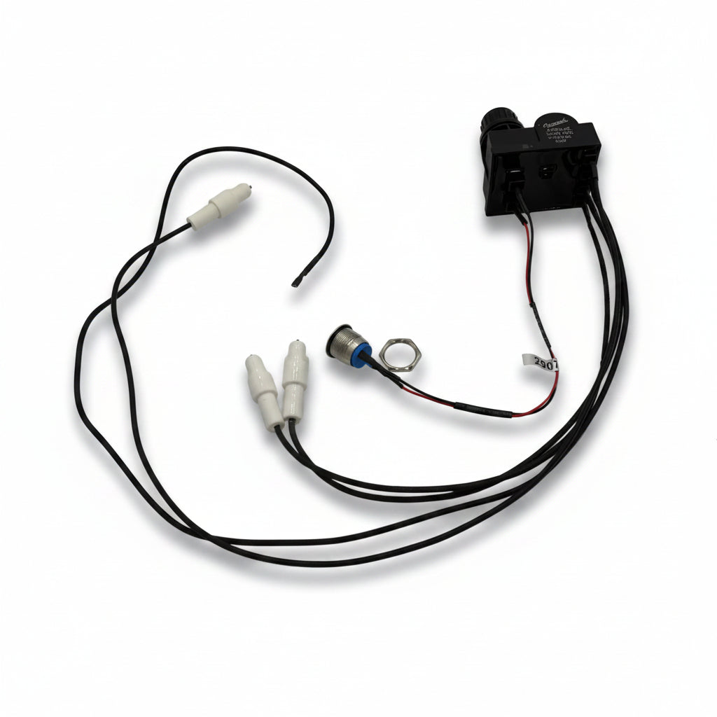 IGNITION ASSY 590