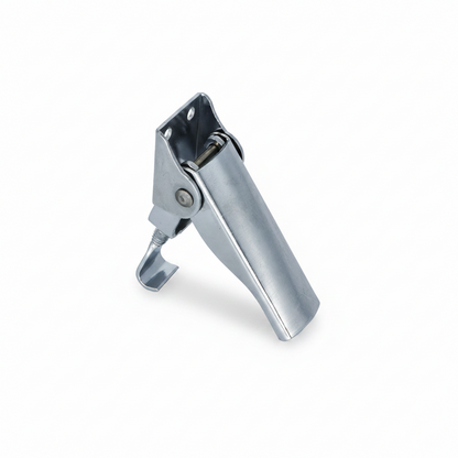 DOOR LOCK ASSEMBLY