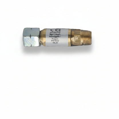 HOSE BURST PROTECTIVE VALVE