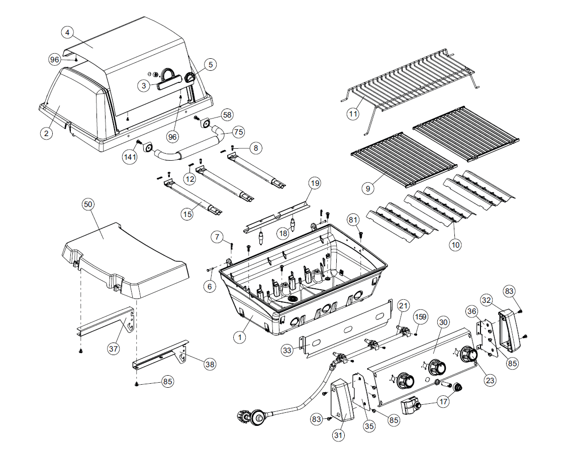 Grill Anatomy Image