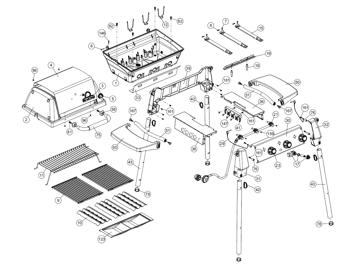 Grill Anatomy Image