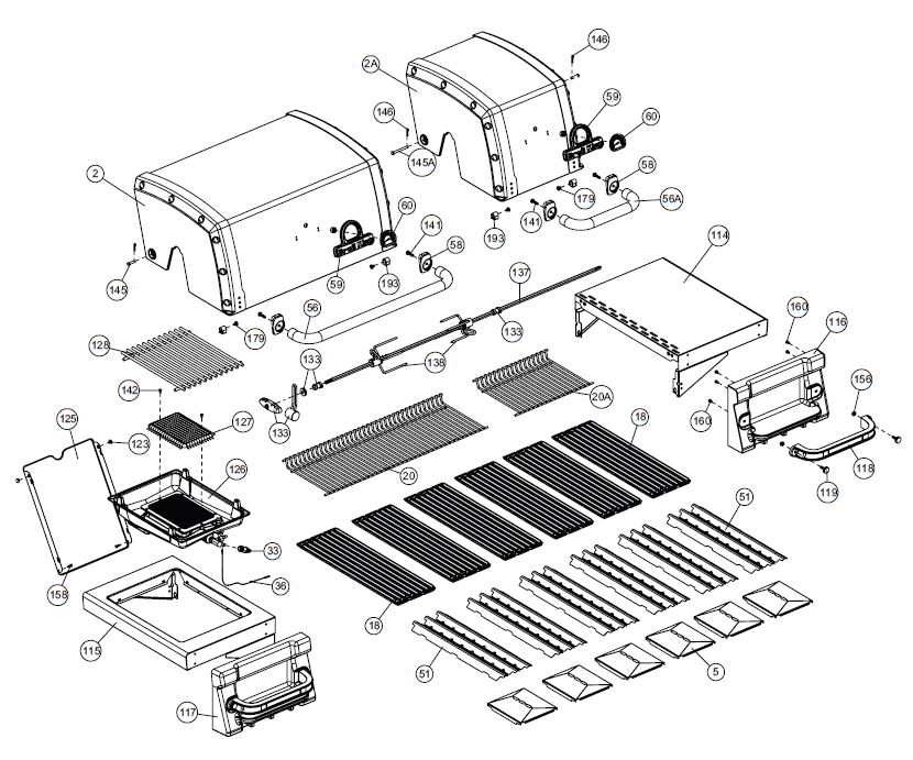 Grill Anatomy Image
