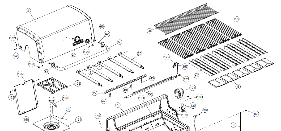 Grill Anatomy Image
