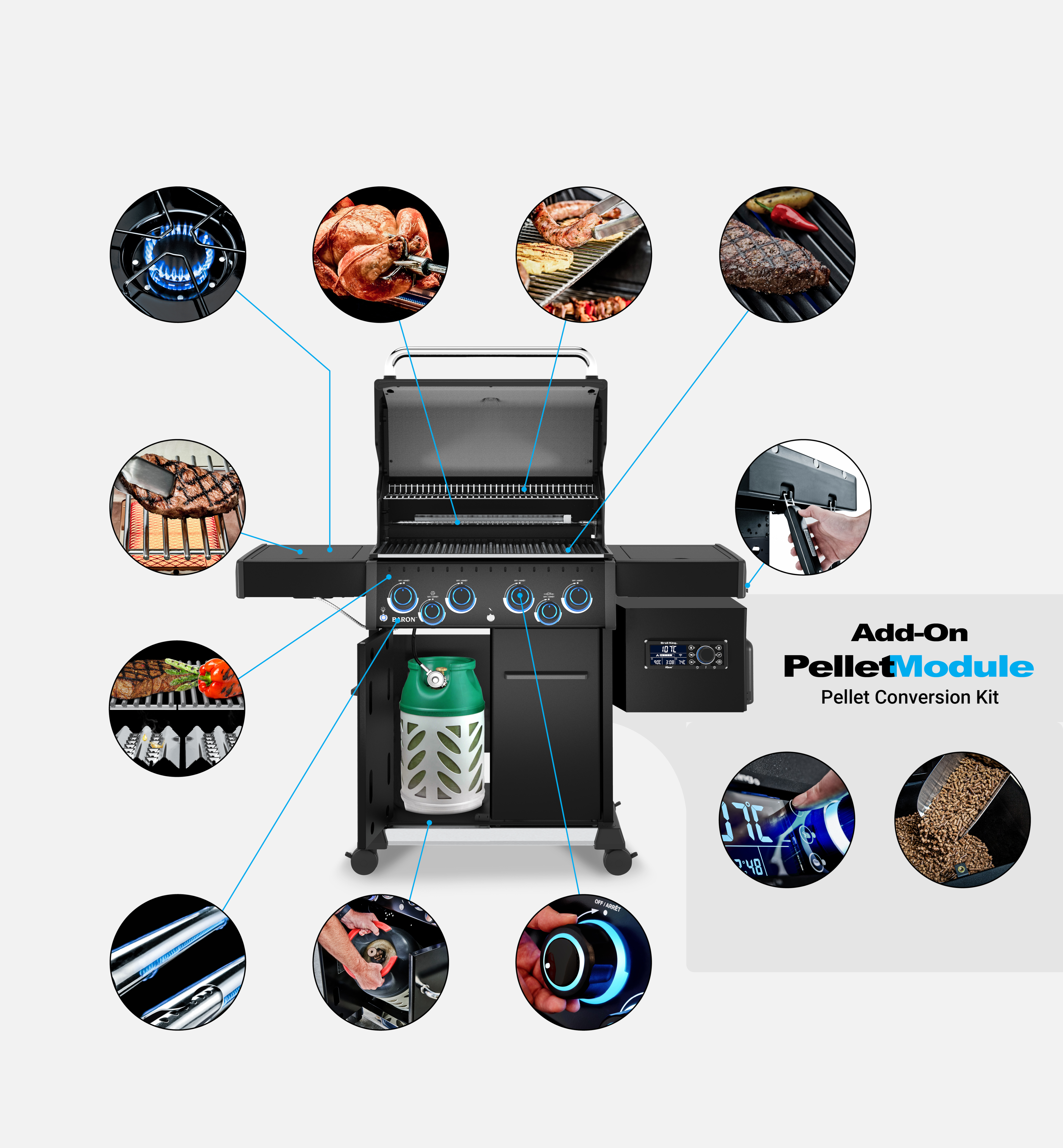 Grill Anatomy Image