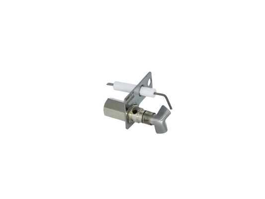 ELECTRODE ASSY