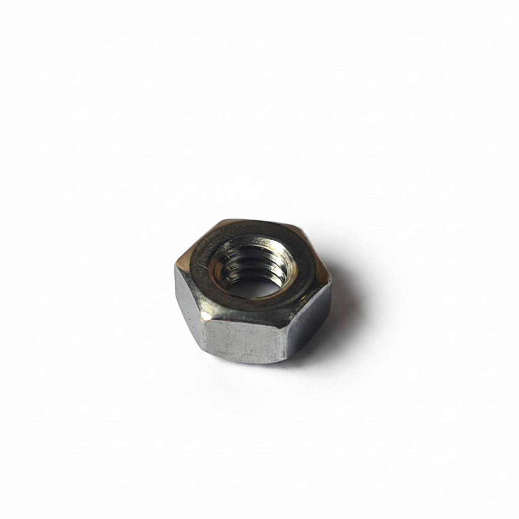 NUT 1/4 - 20 HEX SS