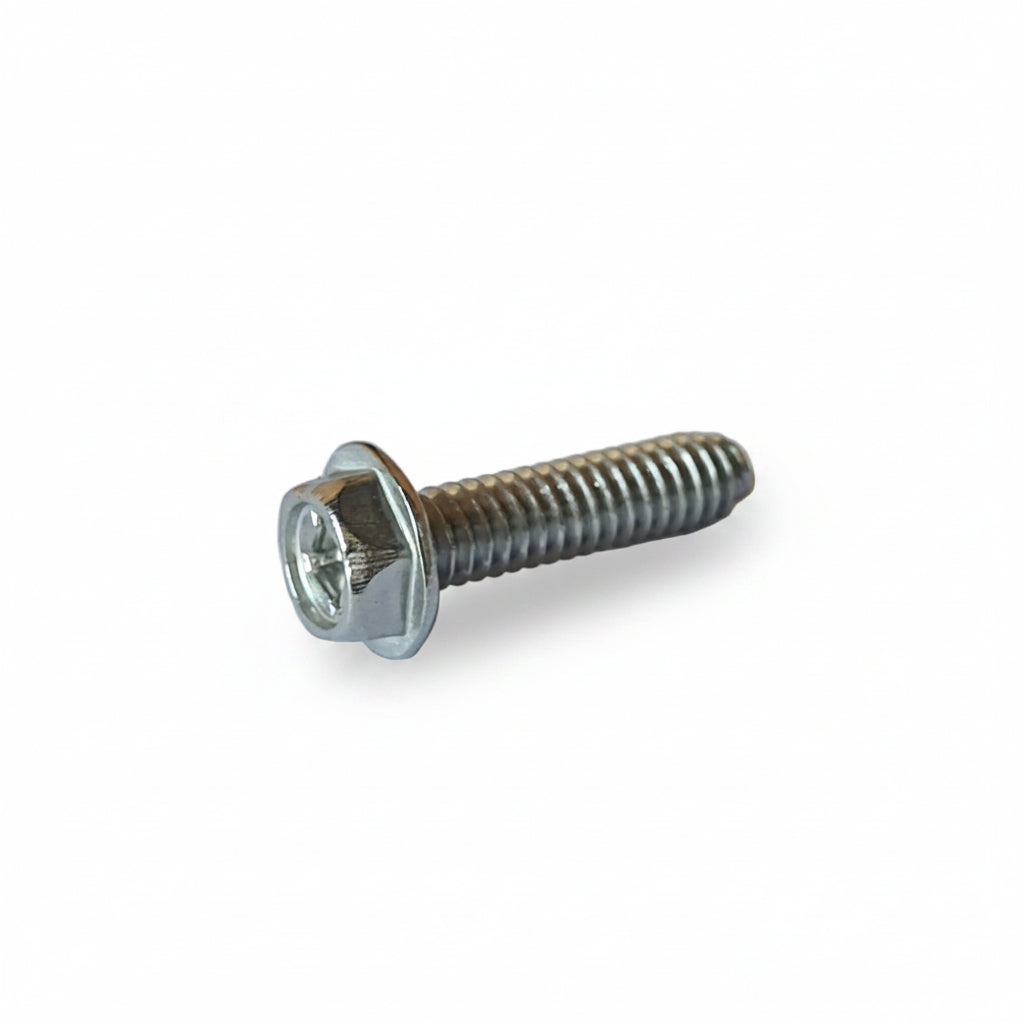 BOLT THCP 1/4-20X3/8 SS