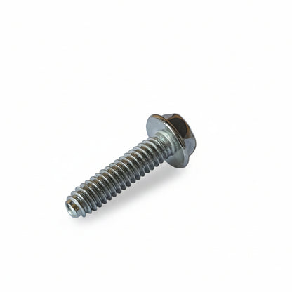 BOLT THCP 1/4-20X3/8 SS